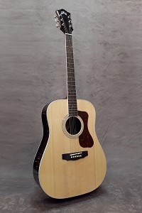 Guild D0260E DLX
